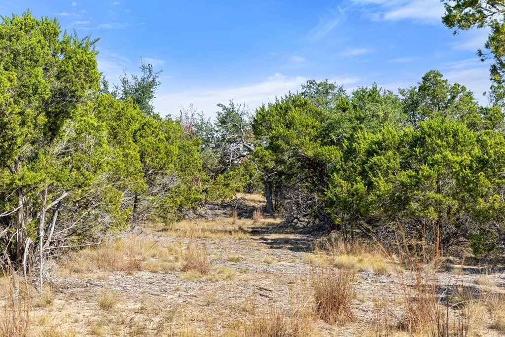 5.01 acres in Blanco County - photo 39