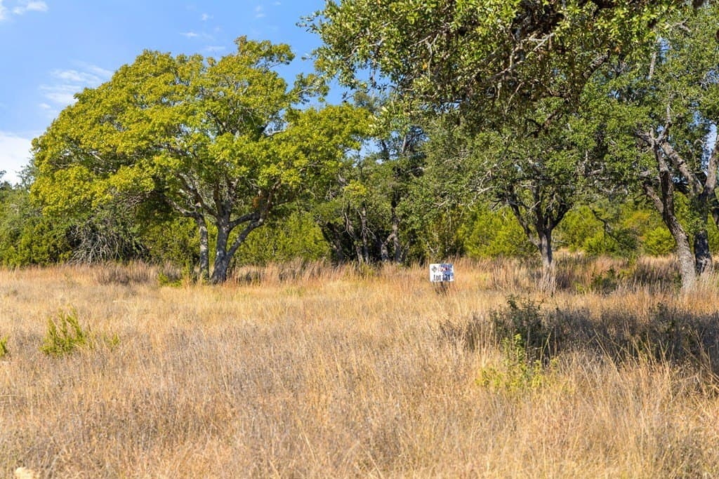 5.01 acres in Blanco County - photo 28