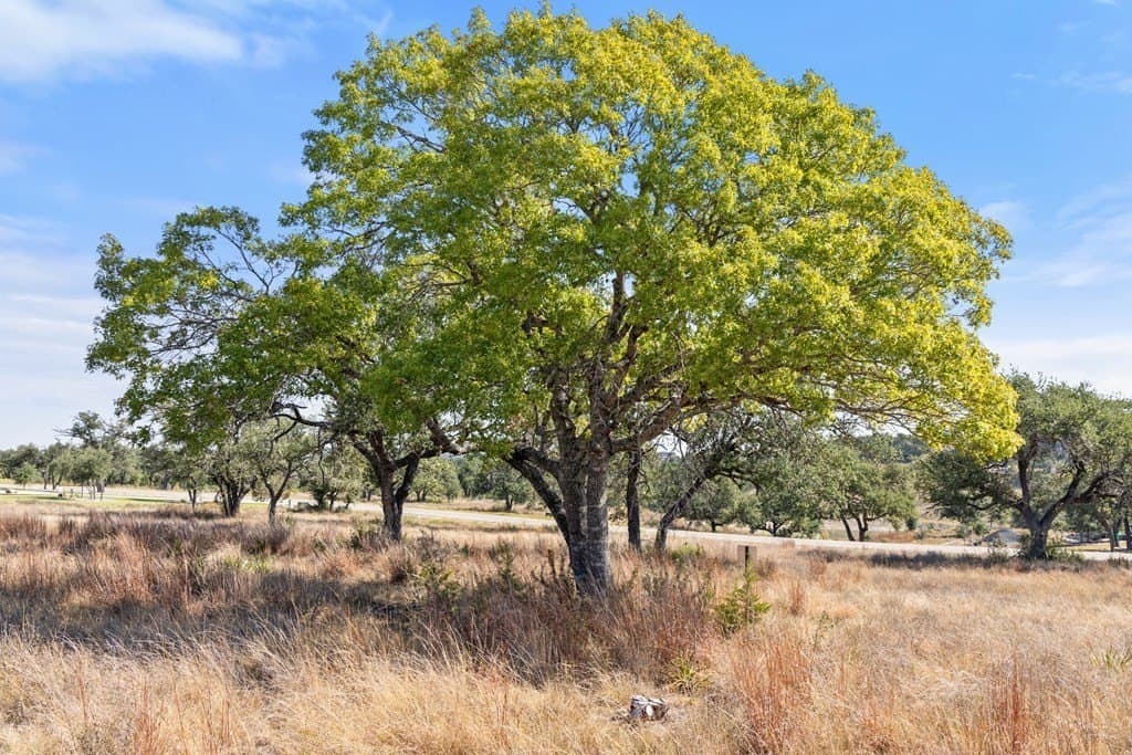 5.01 acres in Blanco County - photo 48
