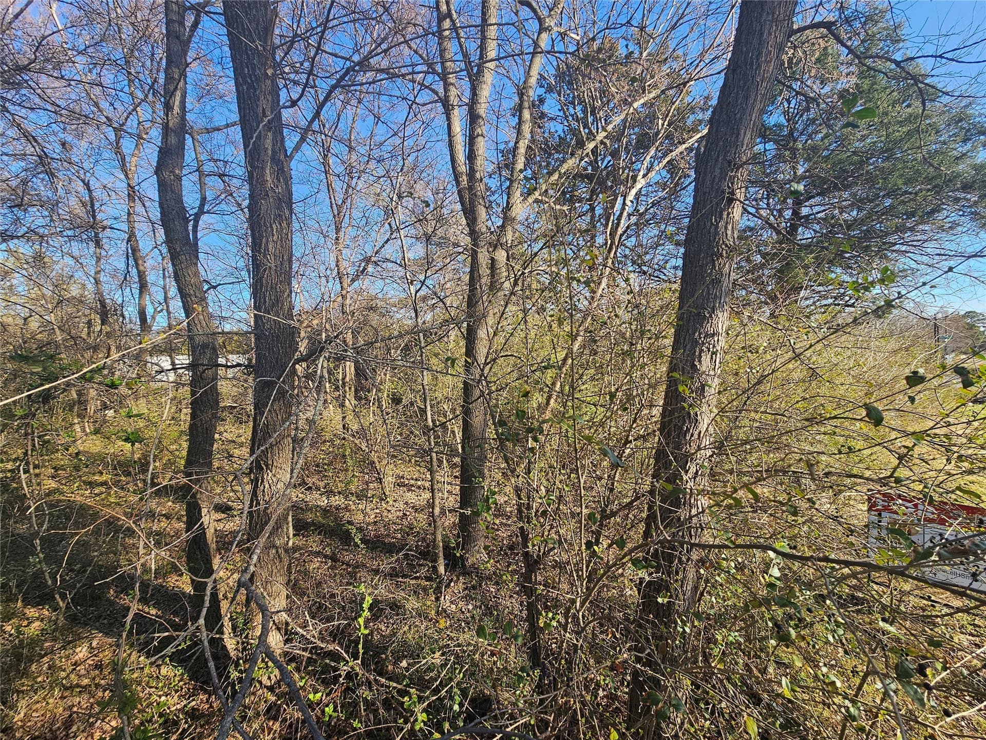 0.23 acres in Grayson County - photo 13
