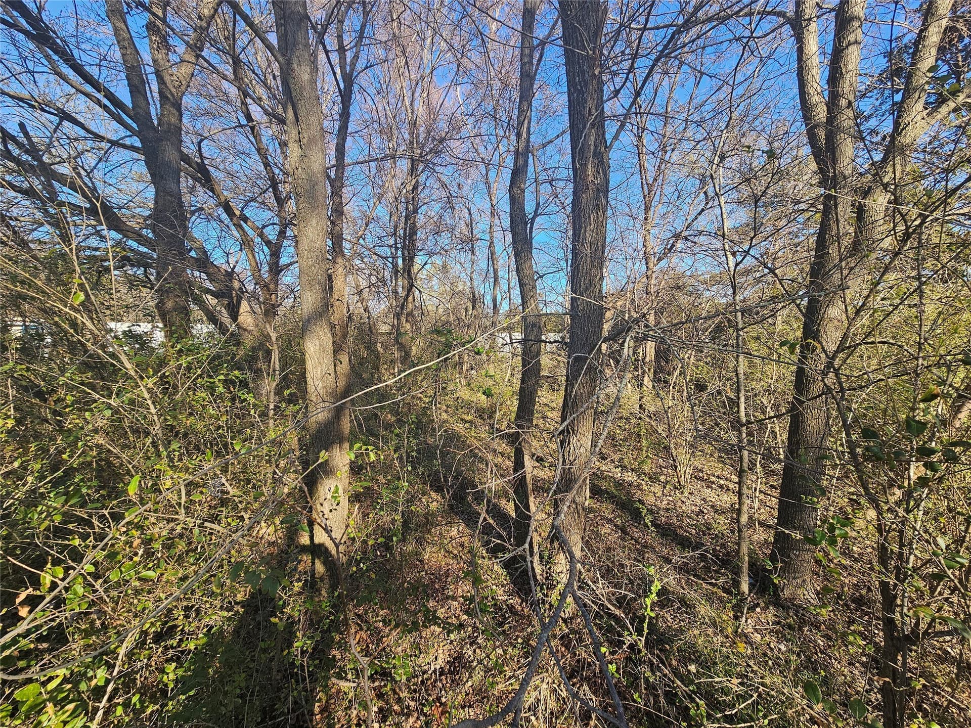 0.23 acres in Grayson County - photo 11