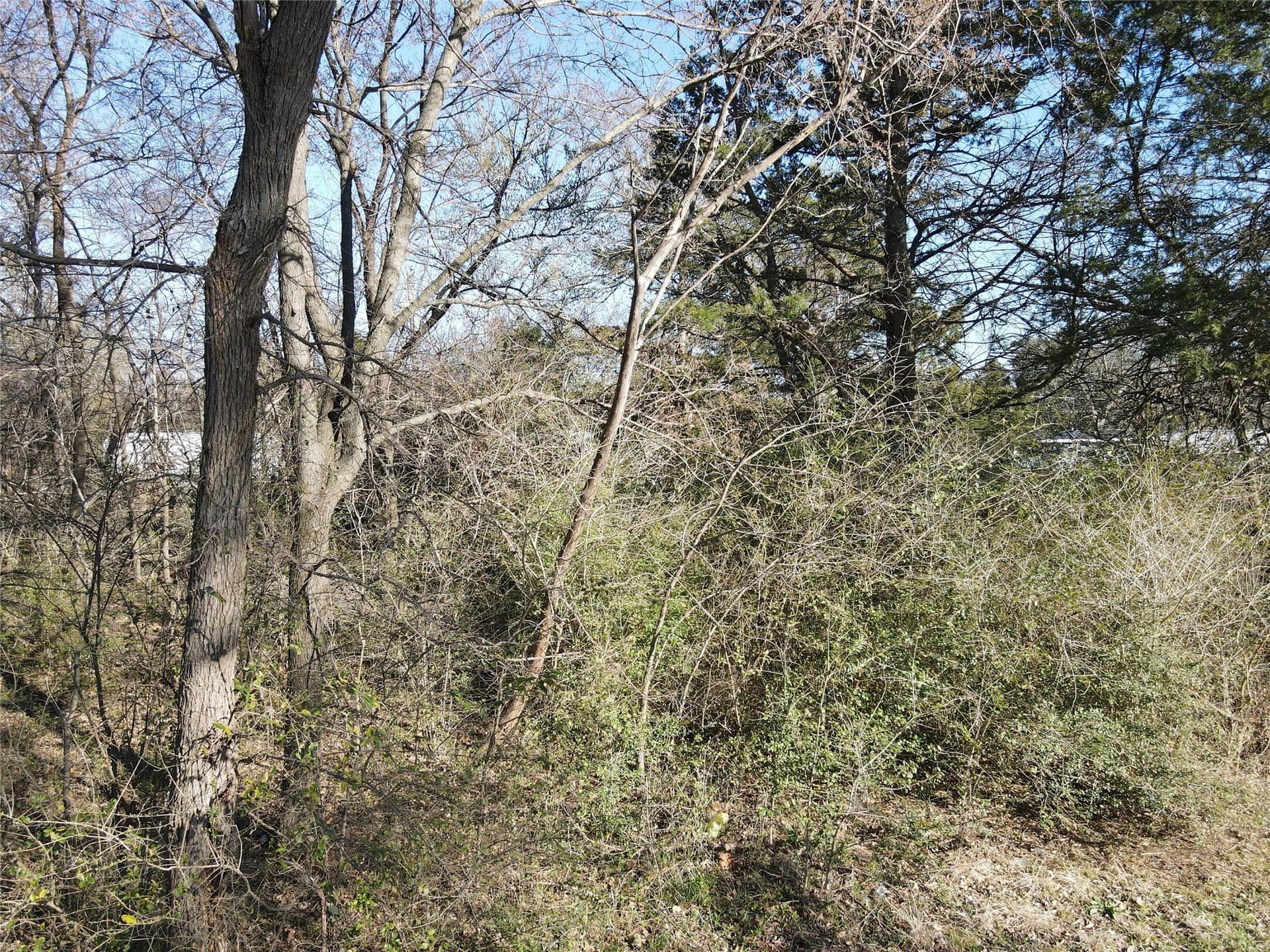 0.23 acres in Grayson County - photo 18