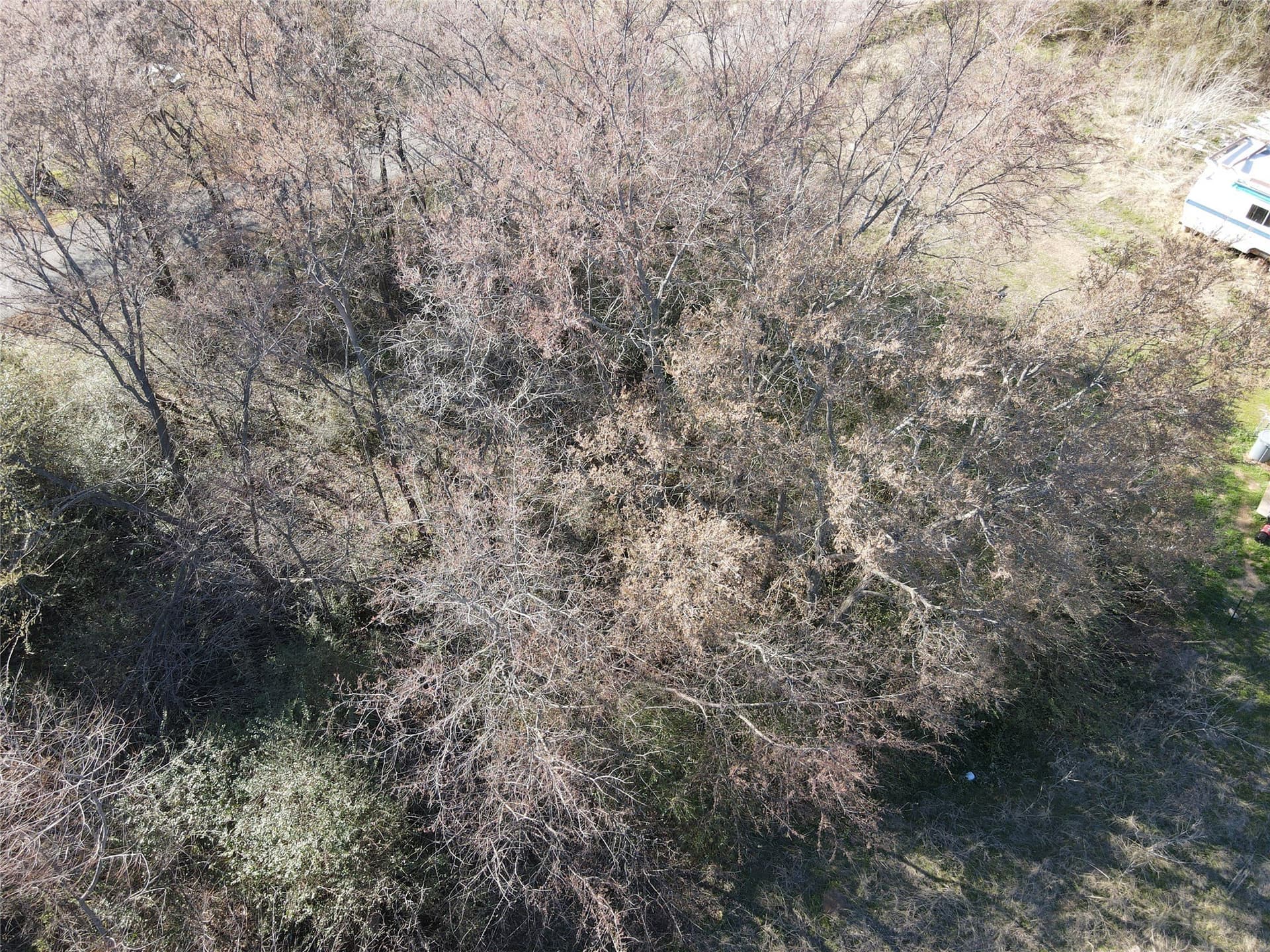 0.23 acres in Grayson County - photo 9