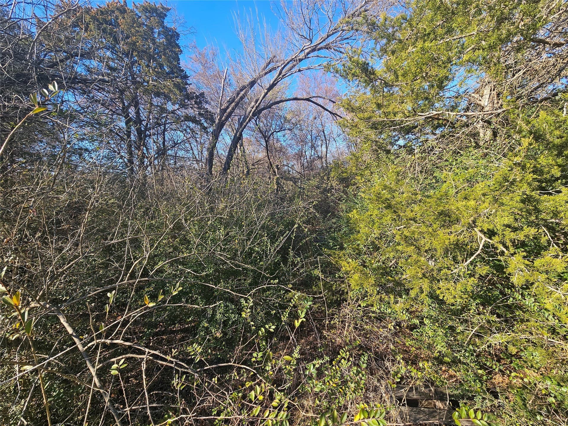0.23 acres in Grayson County - photo 14