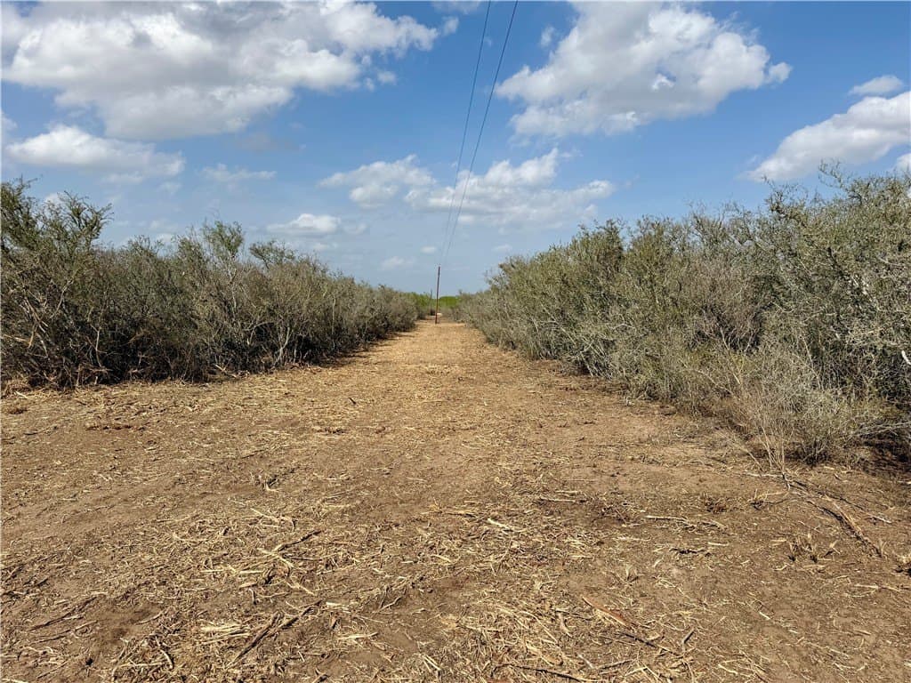 20.4 acres in Duval County - photo 11