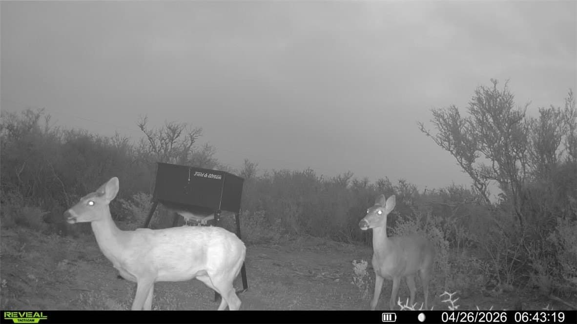 20.4 acres in Duval County - photo 40