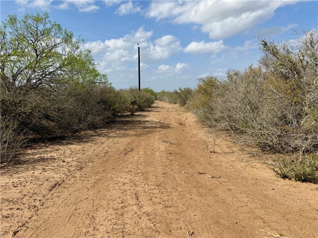 20.4 acres in Duval County - photo 36