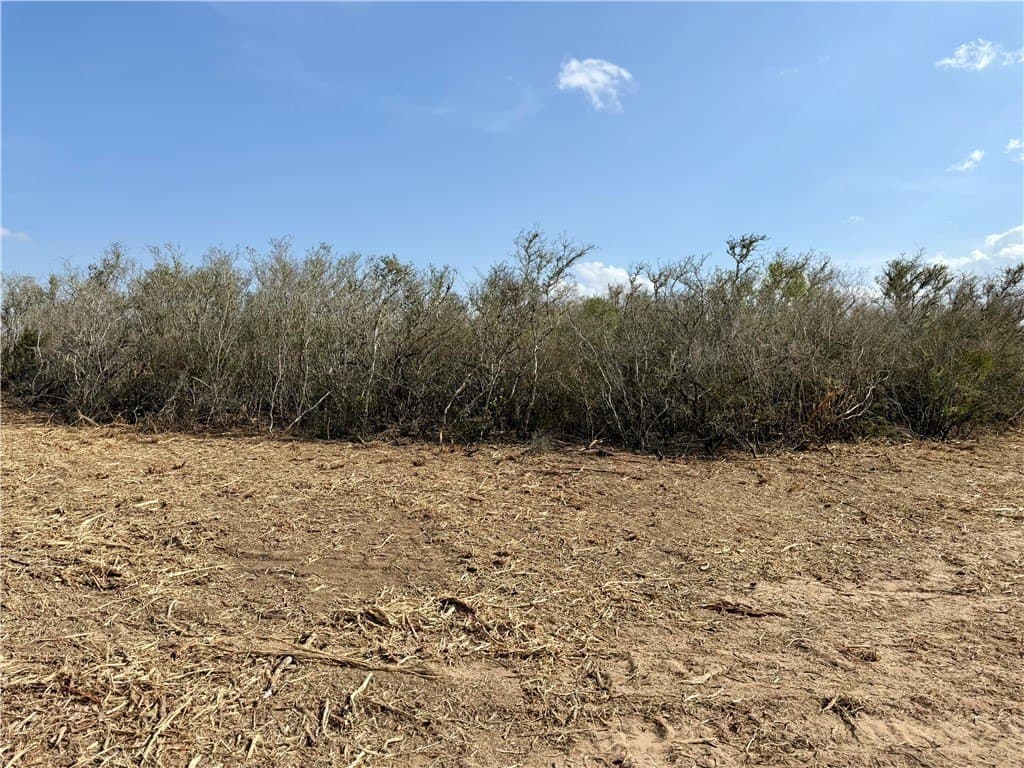 20.4 acres in Duval County - photo 35