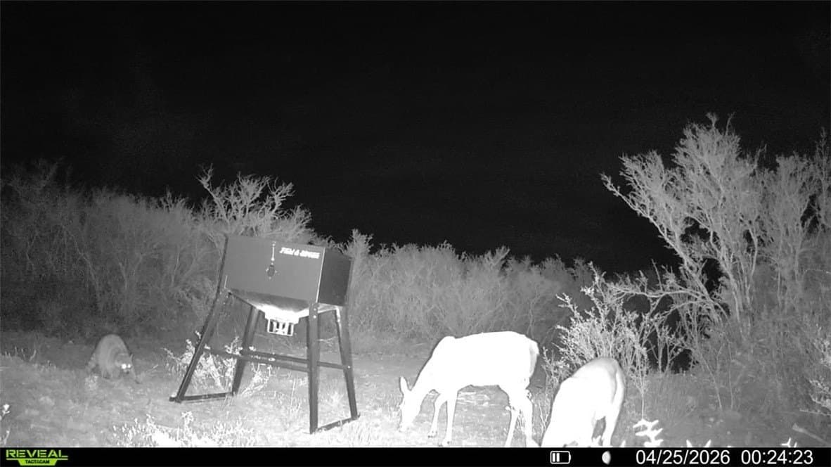 20.4 acres in Duval County - photo 34
