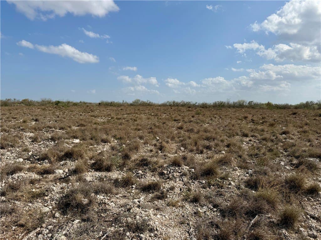 20.4 acres in Duval County - photo 9