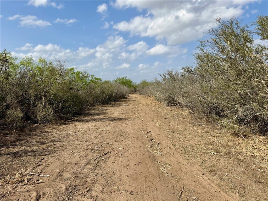 20.4 acres in Duval County - photo 18