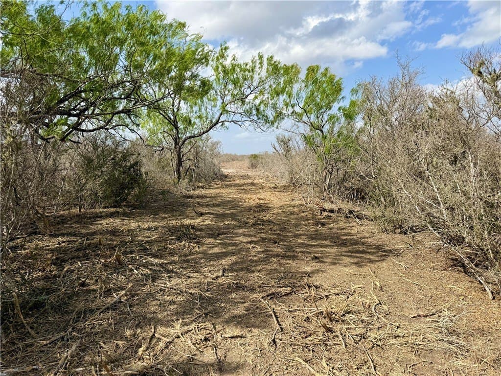 20.4 acres in Duval County gallery image 3