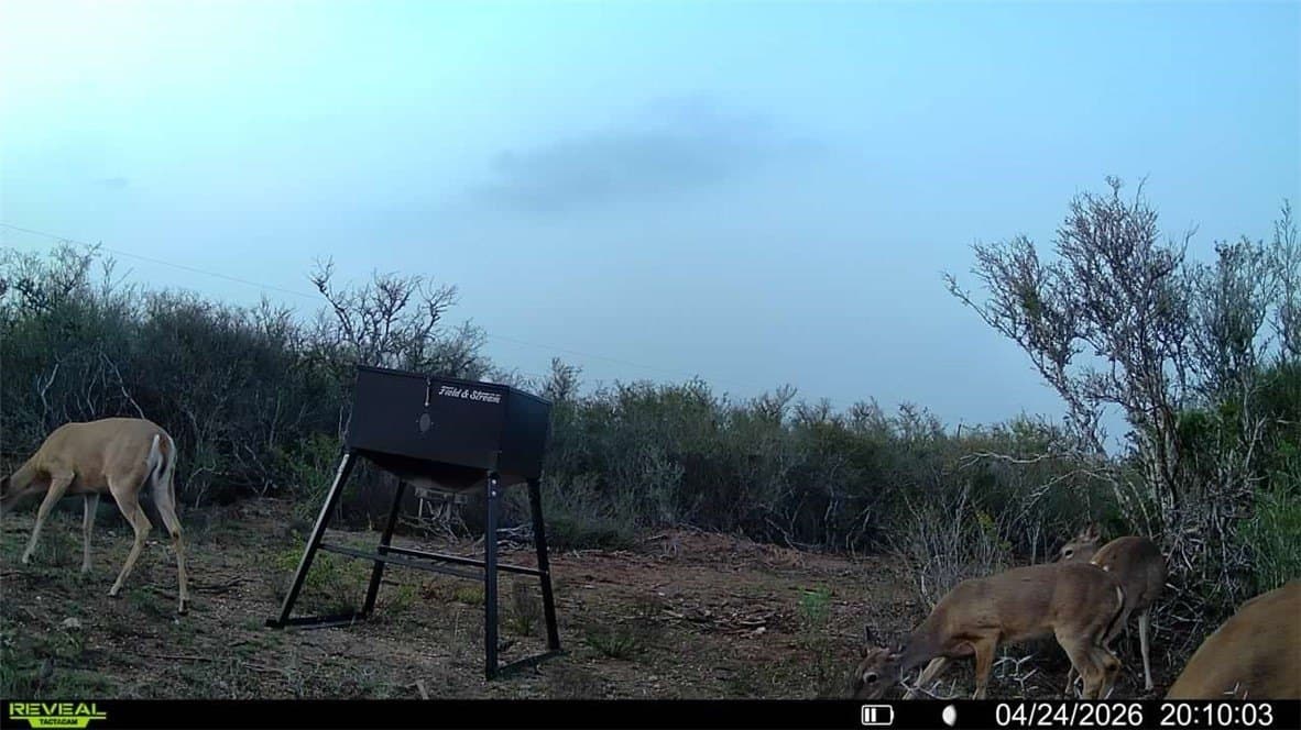 20.4 acres in Duval County - photo 30