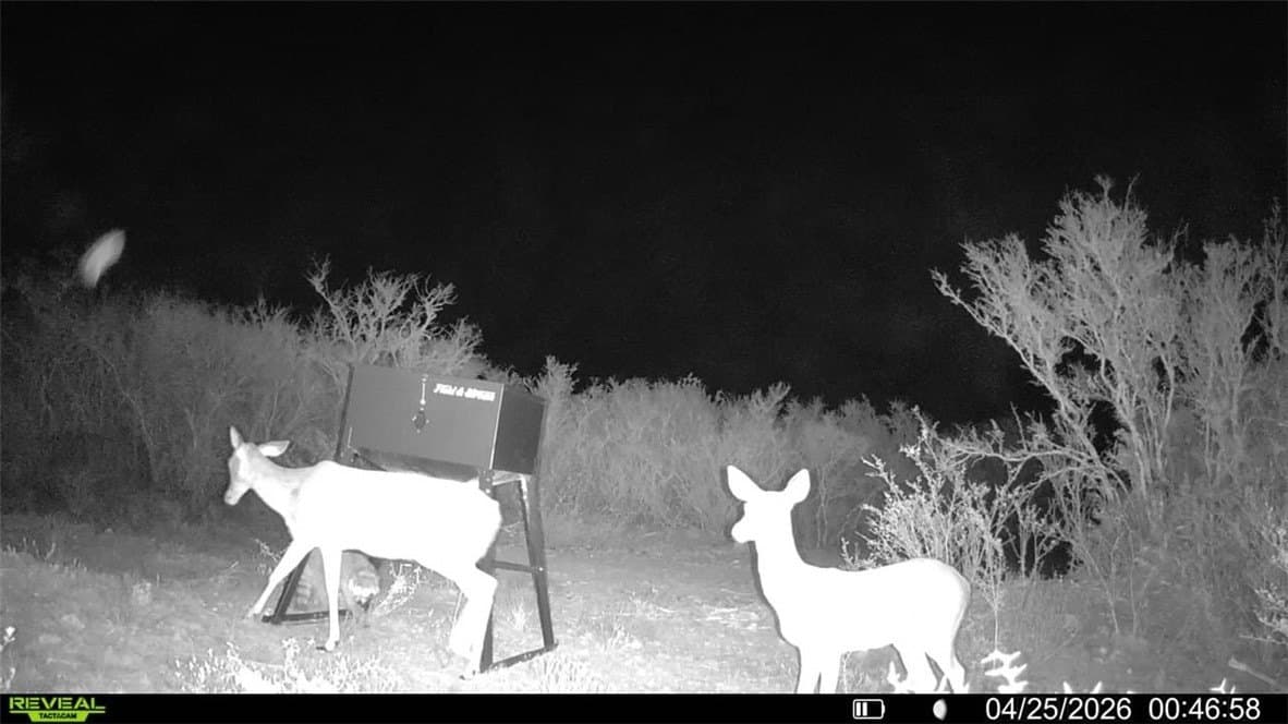 20.4 acres in Duval County - photo 22