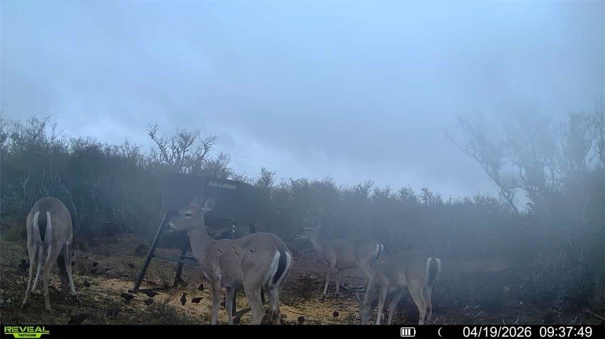 20.4 acres in Duval County - photo 24