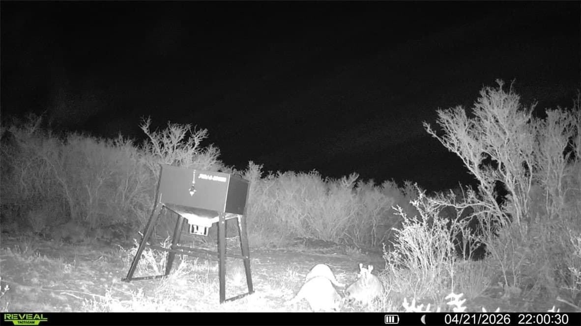 20.4 acres in Duval County - photo 16