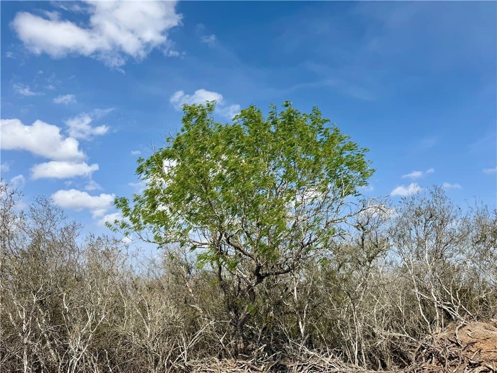20.4 acres in Duval County - photo 7