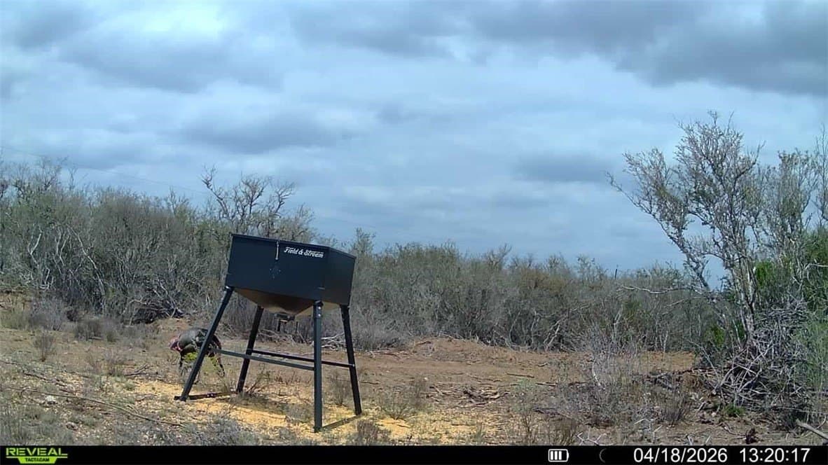 20.4 acres in Duval County - photo 20