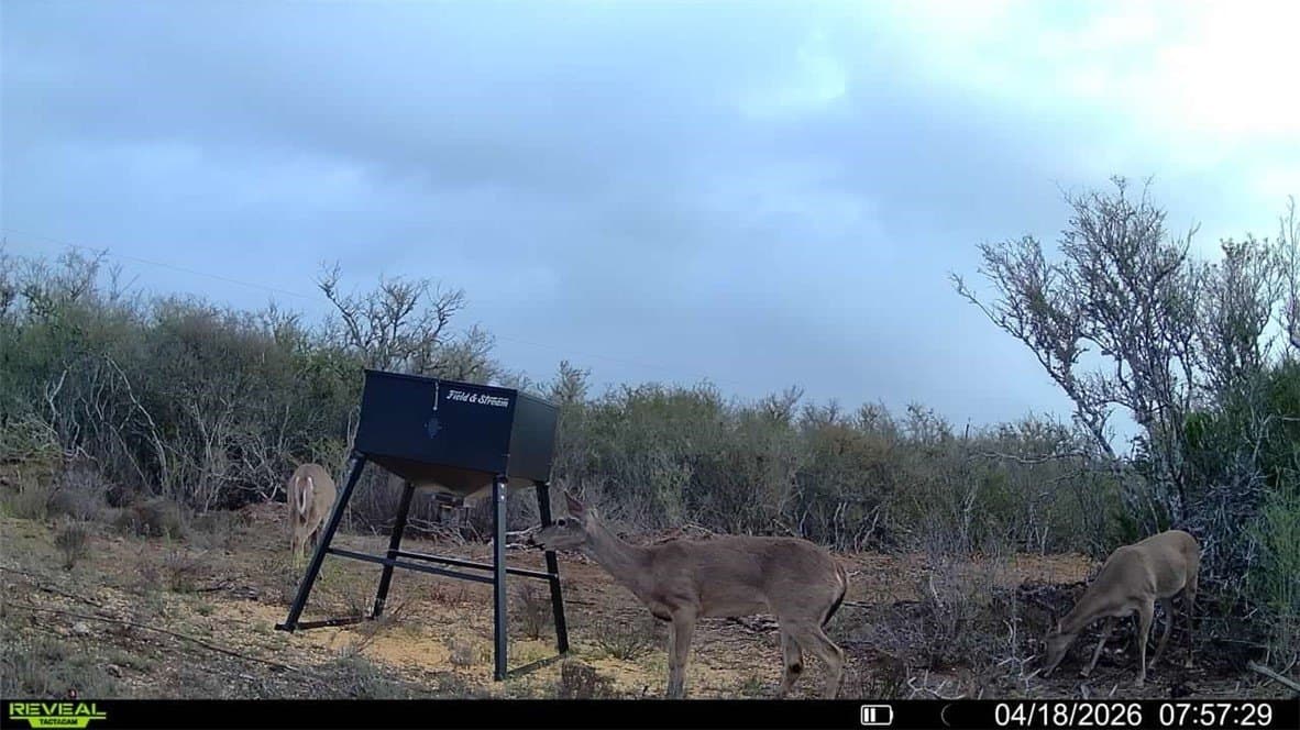 20.4 acres in Duval County - photo 14