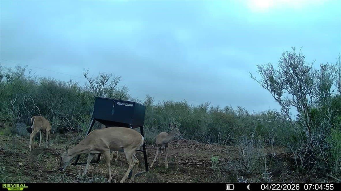 20.4 acres in Duval County - photo 10
