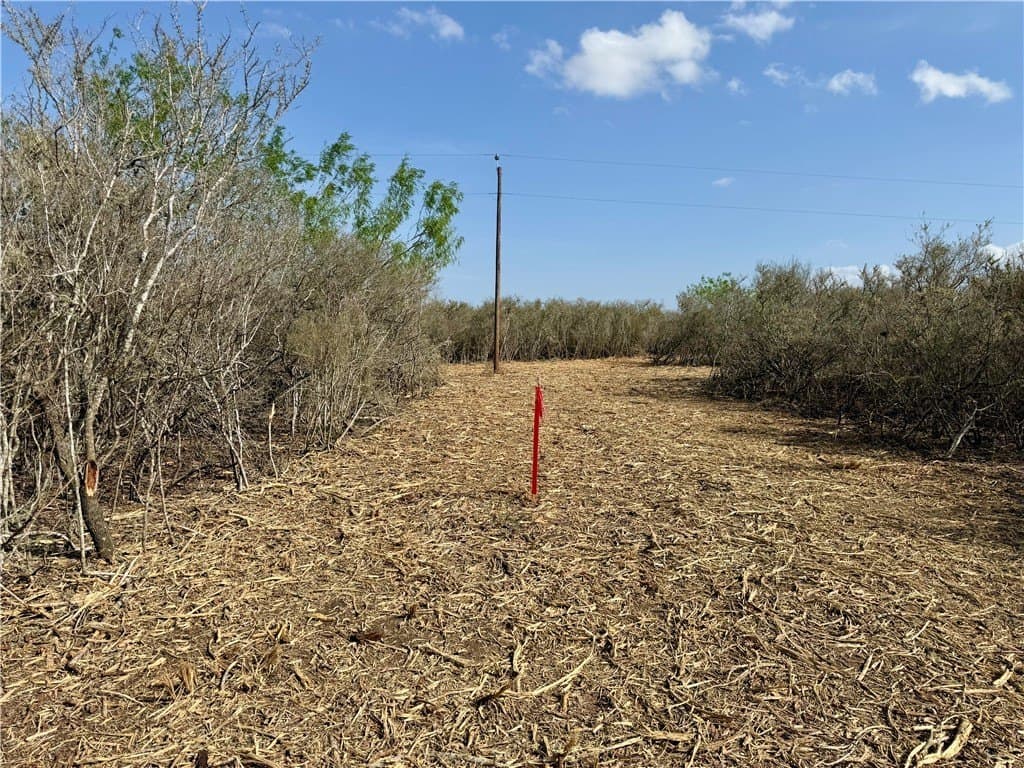 20.4 acres in Duval County - photo 21
