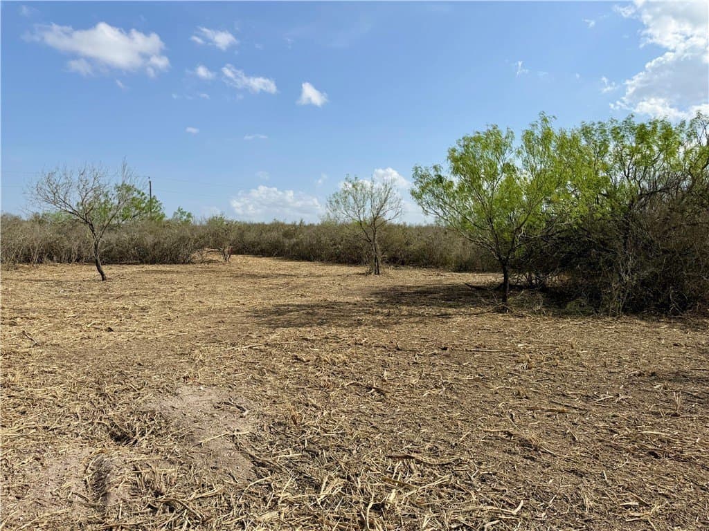 20.4 acres in Duval County - photo 31