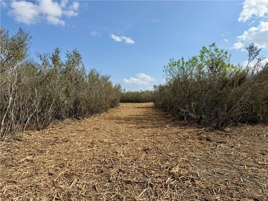 20.4 acres in Duval County featured view