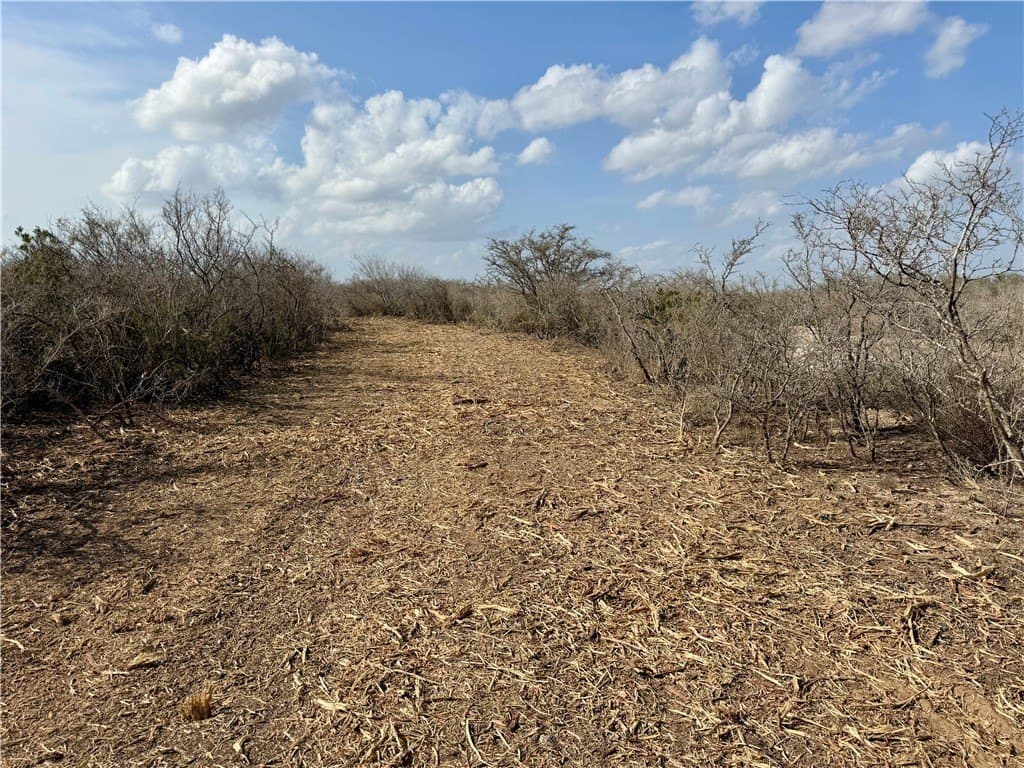 20.4 acres in Duval County - photo 29
