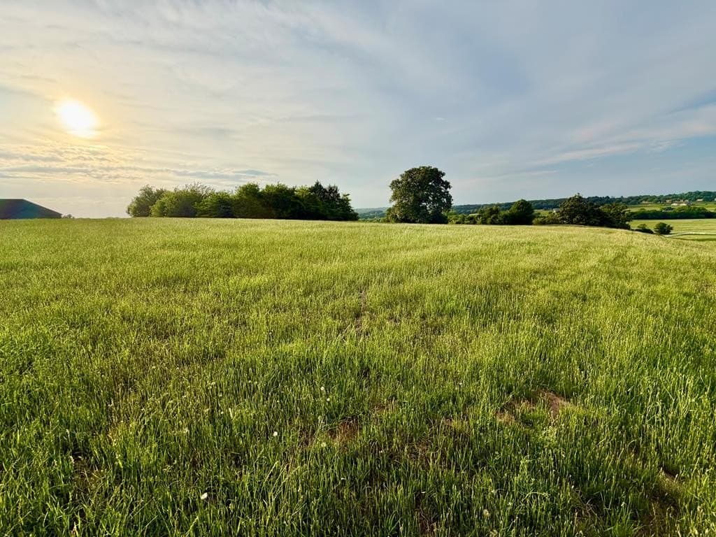 3.02 acres in Henderson County gallery image 4