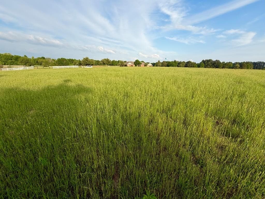 3.02 acres in Henderson County featured view