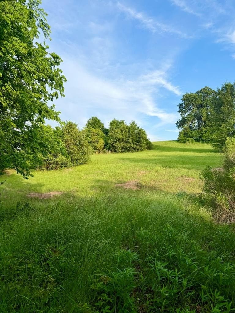 3.02 acres in Henderson County gallery image 3