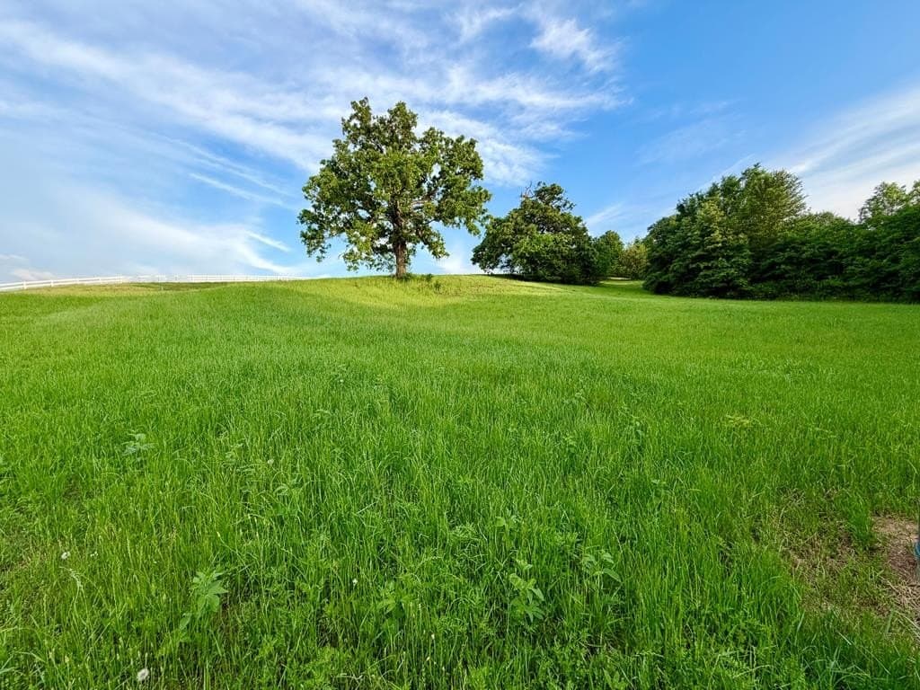 3.02 acres in Henderson County gallery image 2