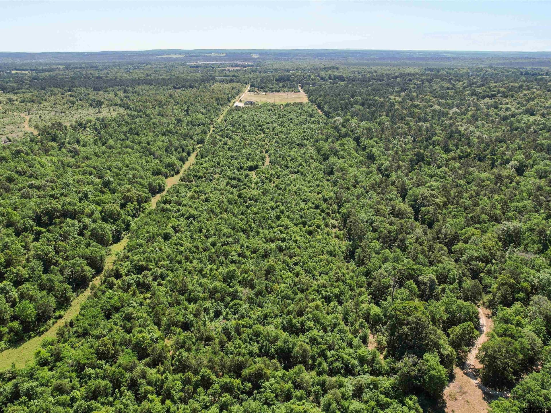40 acres in Wood County - photo 28