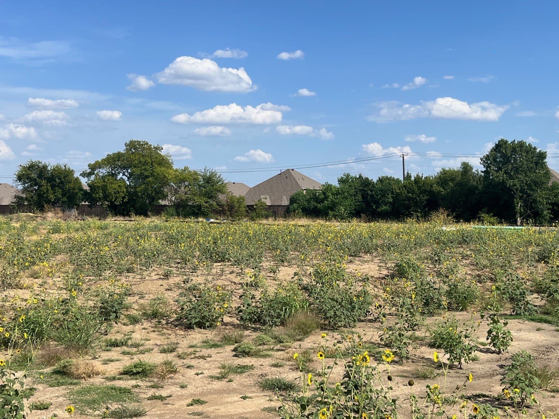 0.09 acres in Tarrant County - photo 3