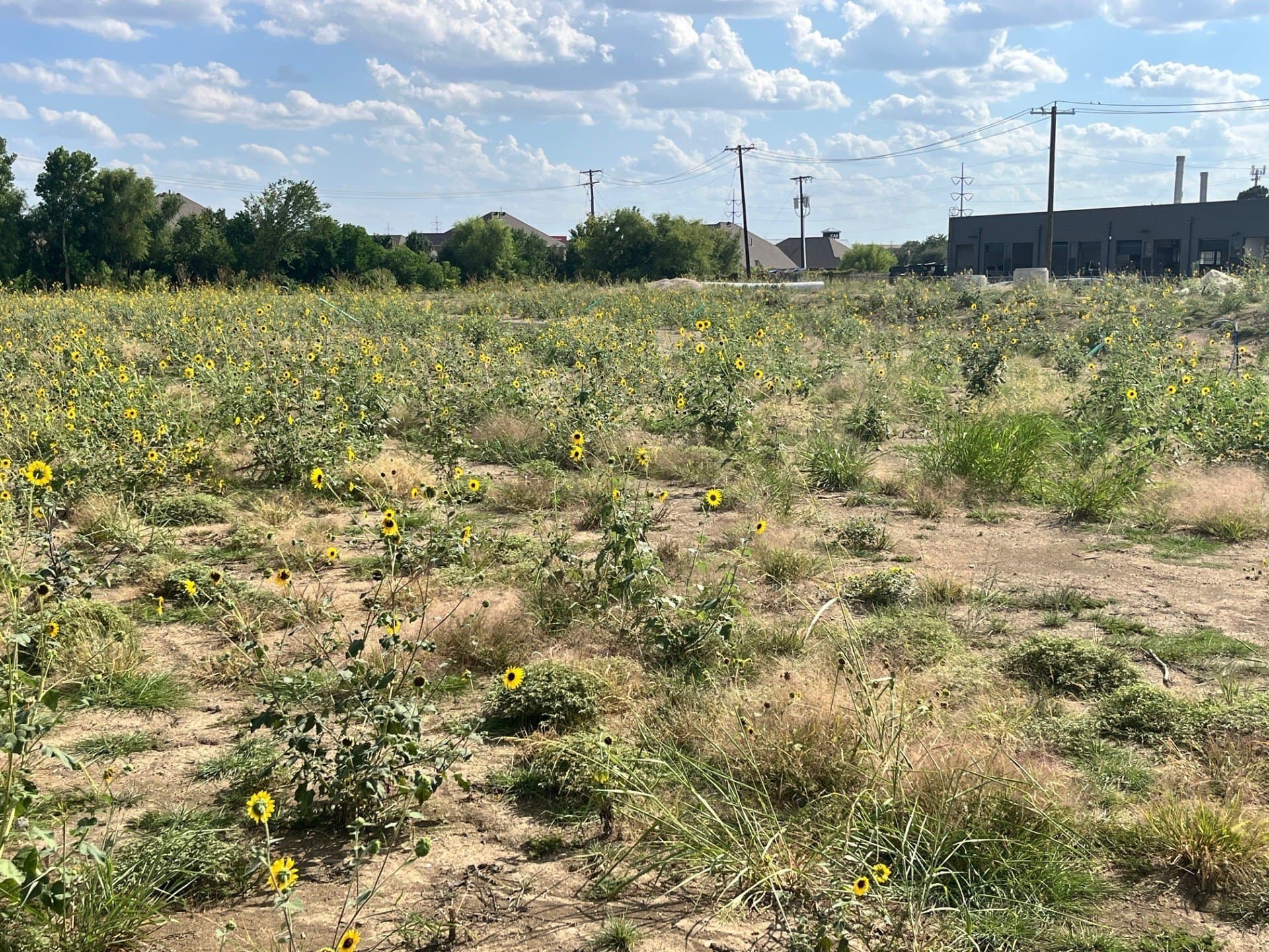 0.09 acres in Tarrant County - photo 4