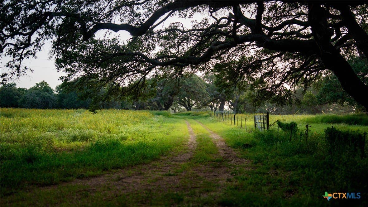 49.57 acres in DeWitt County - photo 40