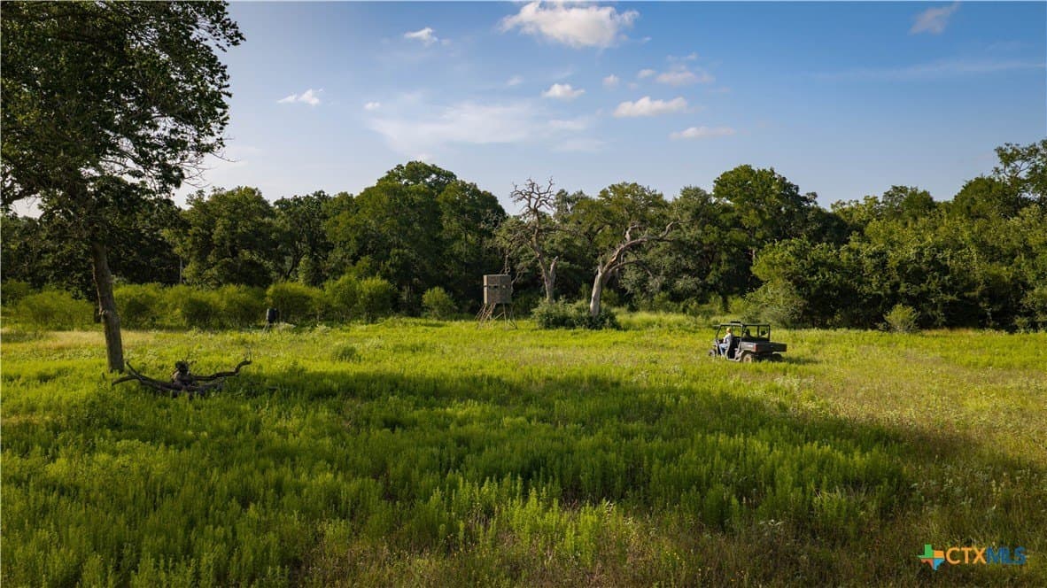 49.57 acres in DeWitt County - photo 36
