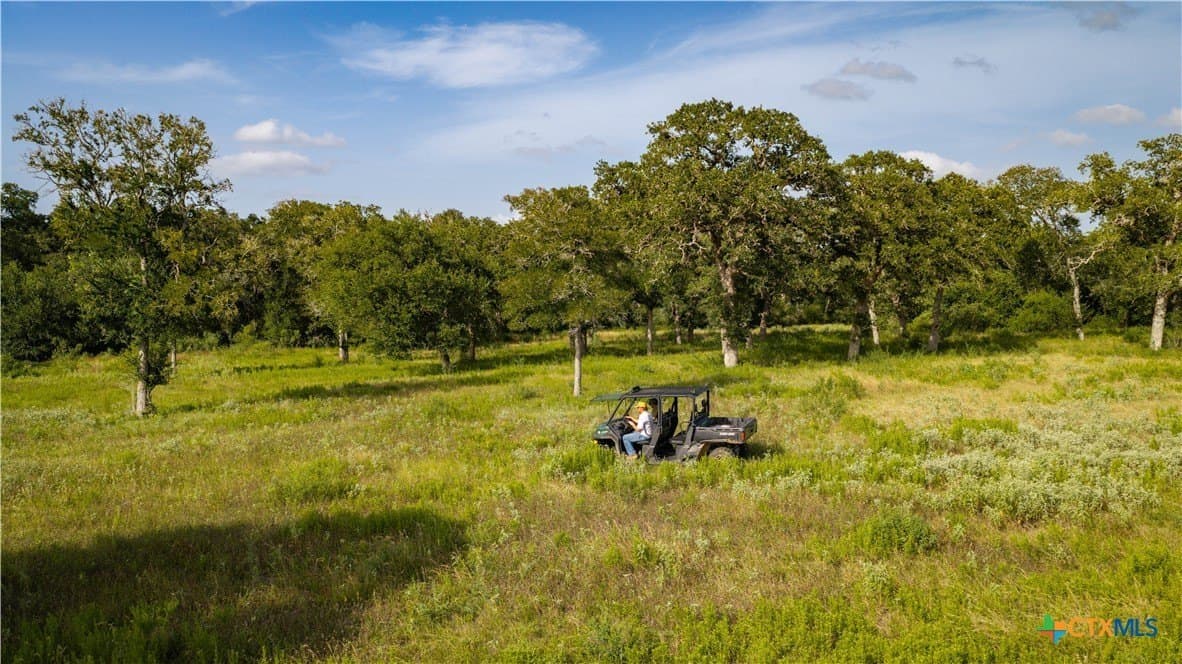 49.57 acres in DeWitt County - photo 41