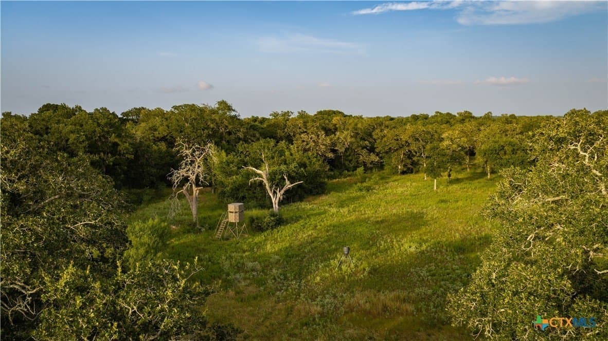 49.57 acres in DeWitt County - photo 42