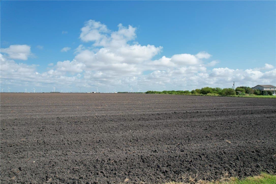 12.55 acres in San Patricio County gallery image 3