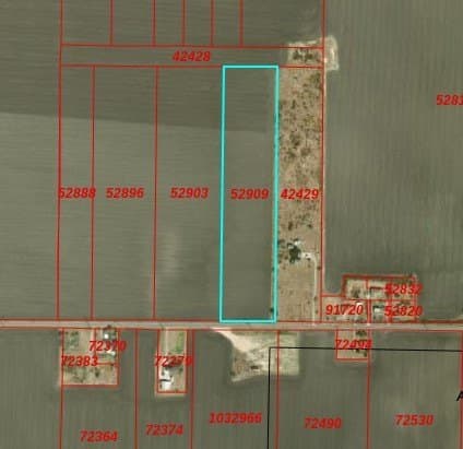 12.55 acres in San Patricio County gallery image 4