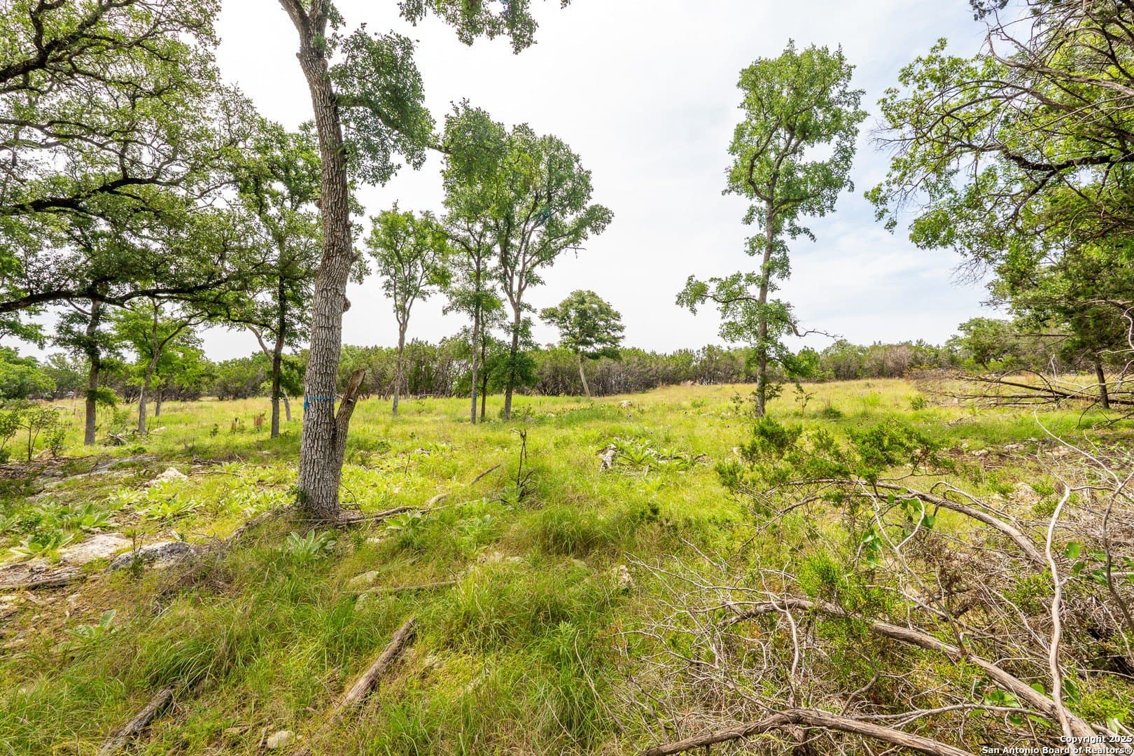 1.77 acres in Kendall County featured view