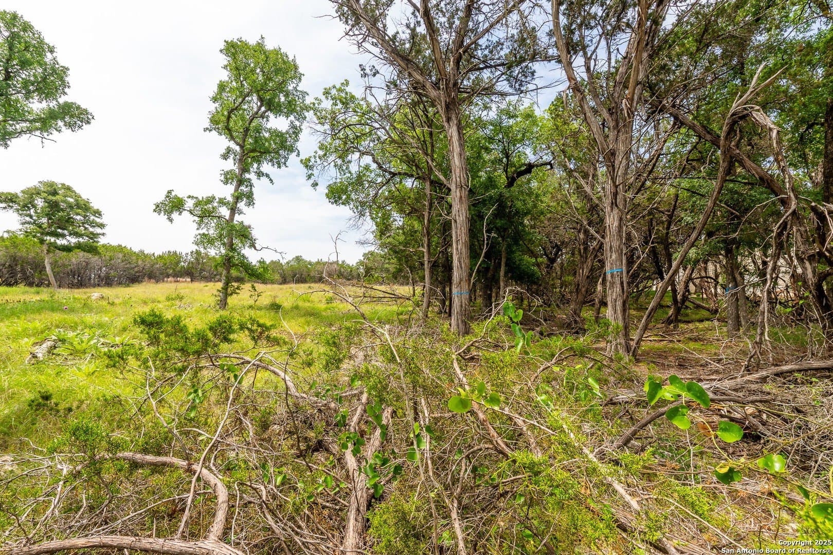 1.77 acres in Kendall County - photo 9