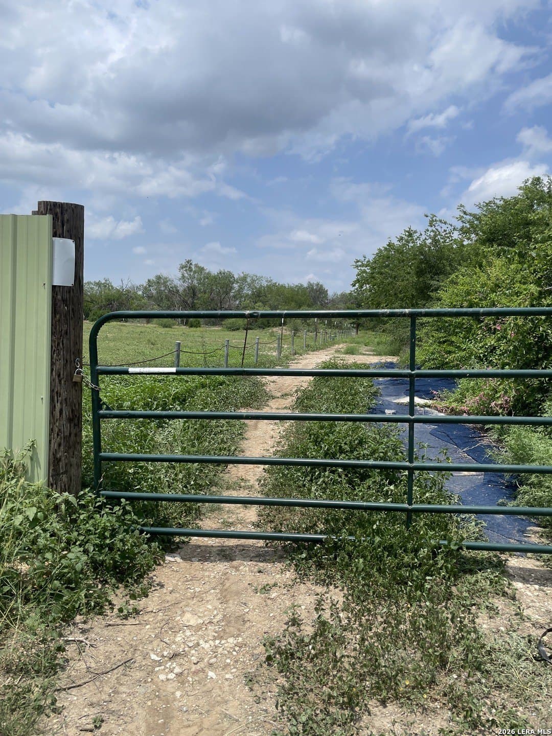 15 acres in Bexar County - photo 7