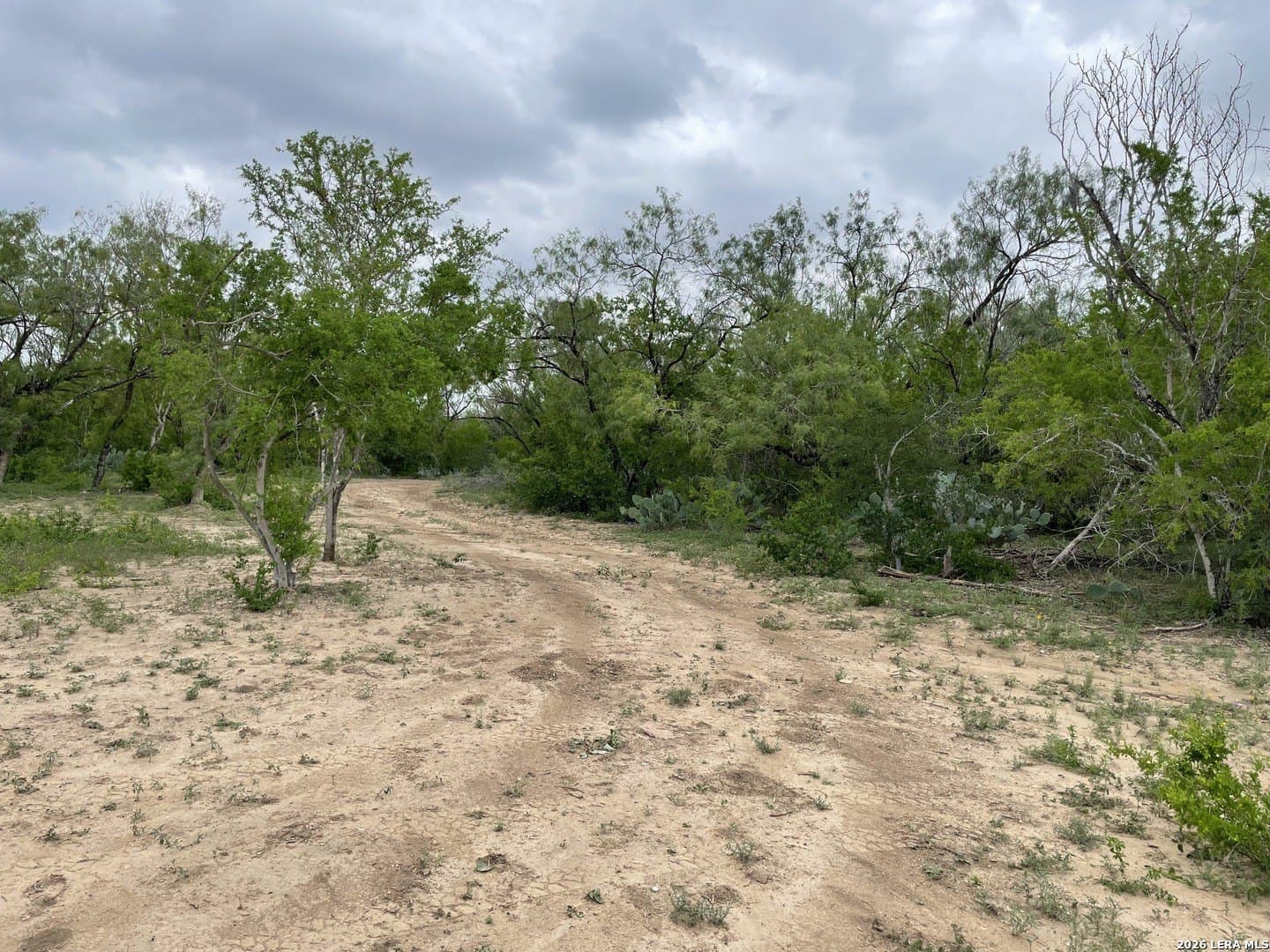 15 acres in Bexar County
