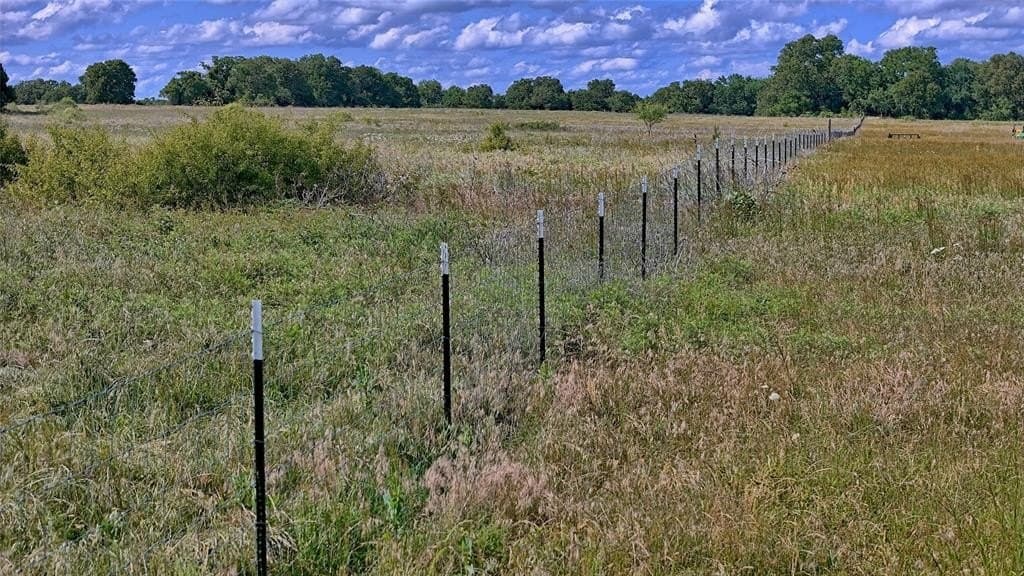 14.56 acres in Montague County gallery image 2