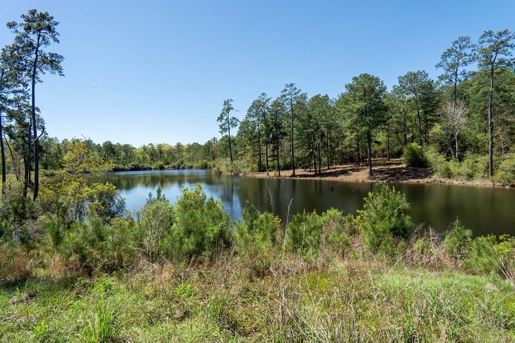10 acres in Texas County gallery image 3