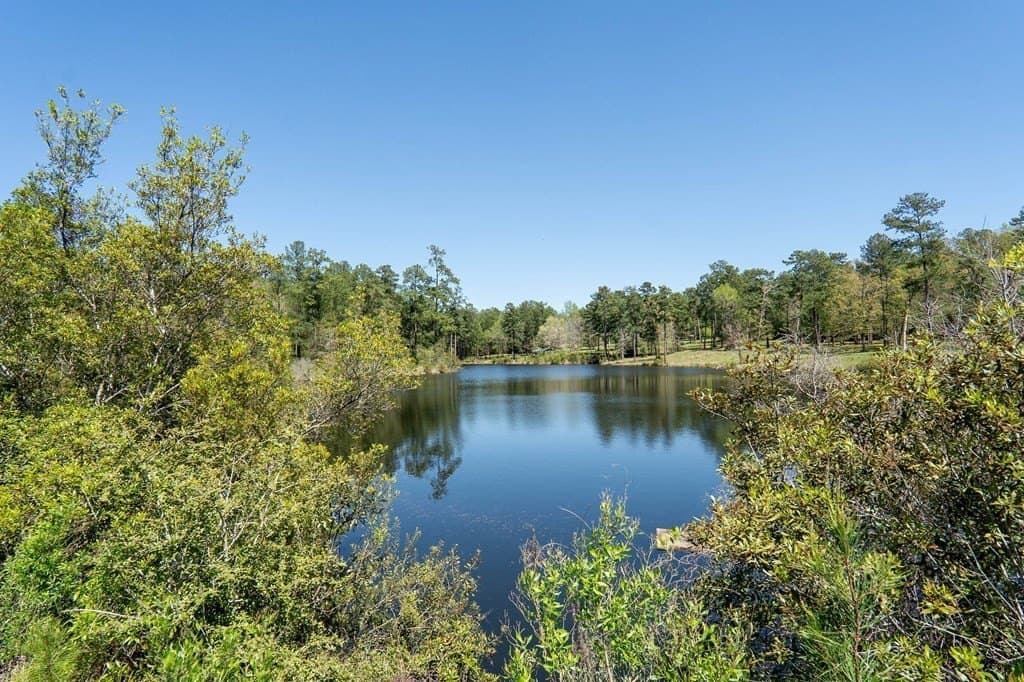 10 acres in Texas County gallery image 2