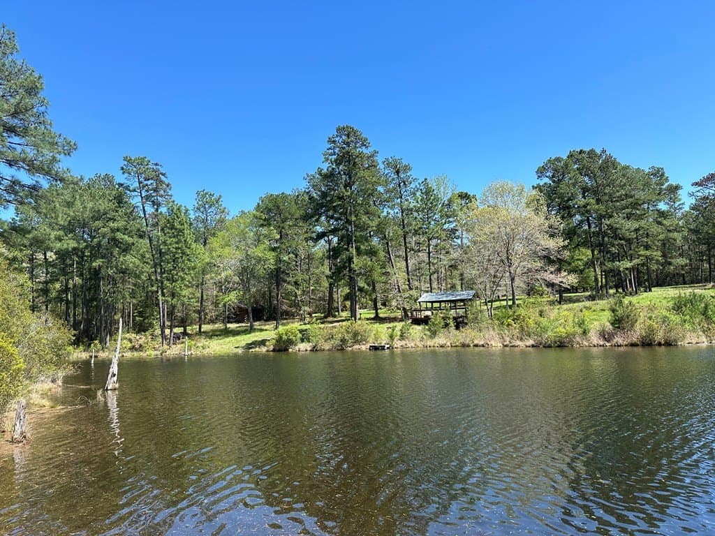 10 acres in Texas County gallery image 4