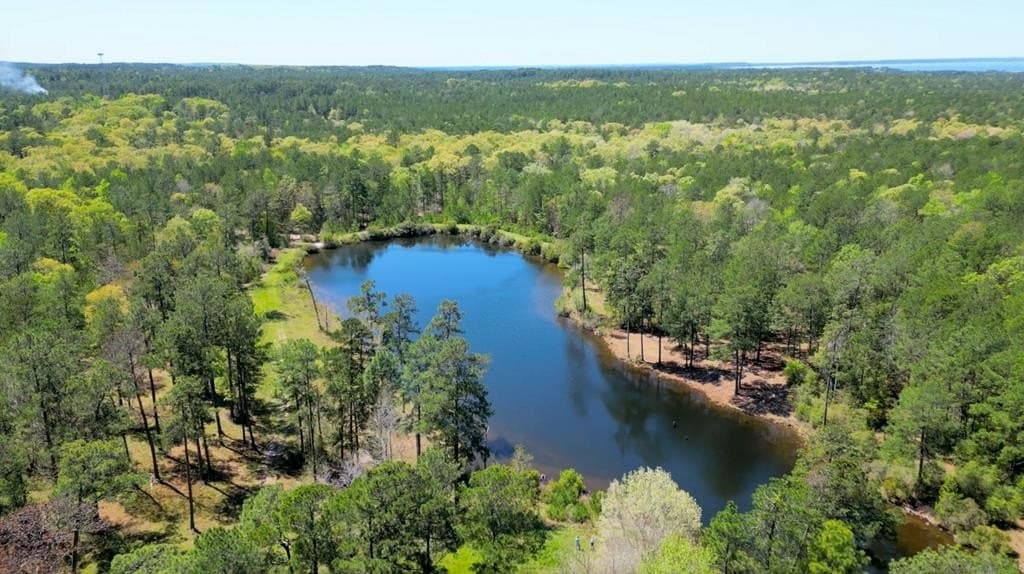 10 acres in Texas County
